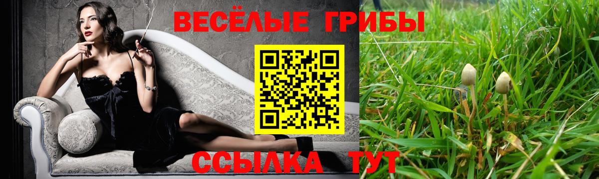 Галлюциногенные грибы Cubensis  что такое   Кстово  Вход с VPN 